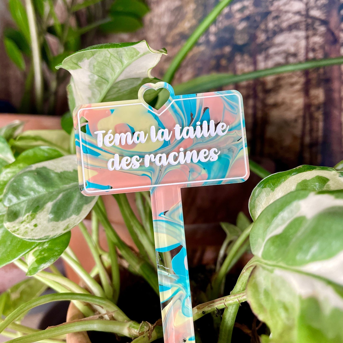 Pic à plante "Téma la taille des racines" en acrylique marbrée pastel jaune, verte et corail