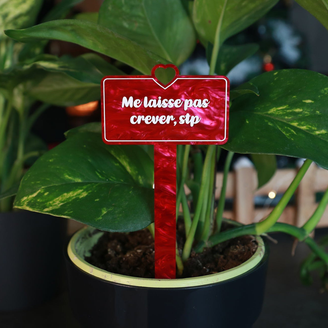 Pic à plante "Me laisse pas crever, stp" en acrylique marbrée rouge/rose