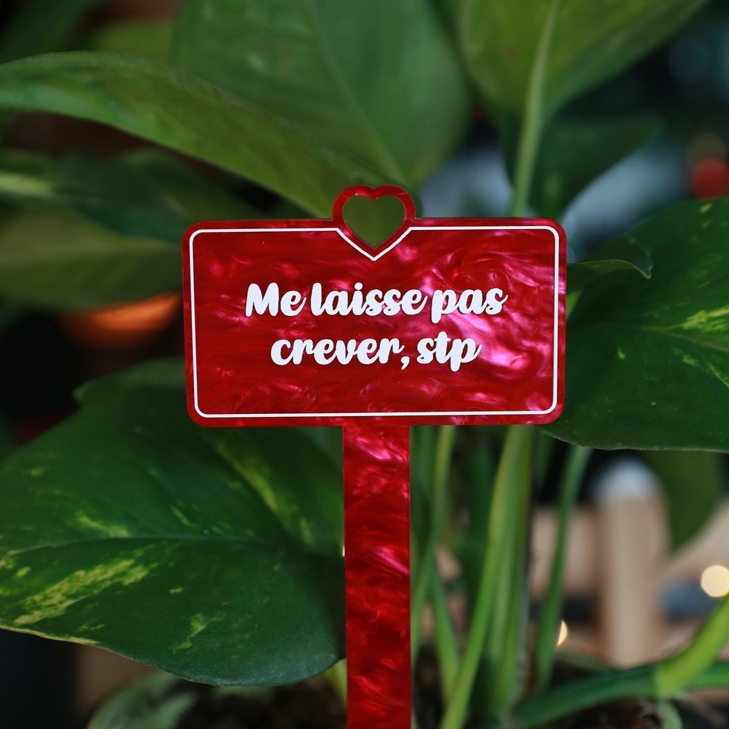 Pic à plante "Me laisse pas crever, stp" en acrylique marbrée rouge/rose