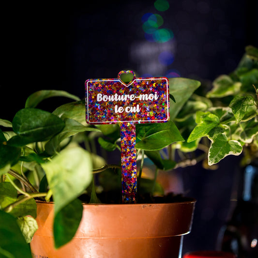 [CONTRÔLE TECHNIQUE] Pic à plante "Bouture-moi le cul" en acrylique transparente à confettis lunes et étoiles