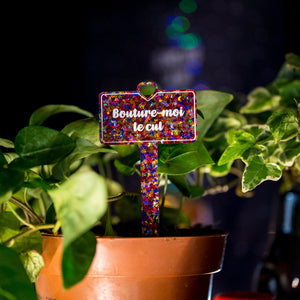 Pic à plante "Bouture-moi le cul" en acrylique transparente à confettis lunes et étoiles