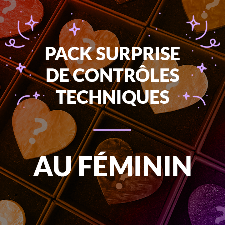 Pack surprise de 4 broches "Contrôle technique"