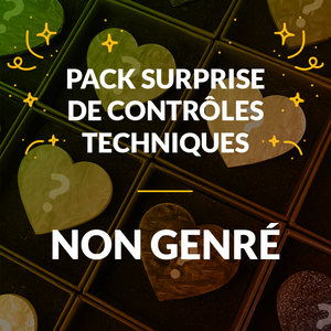 Pack surprise de 4 broches "Contrôle technique"