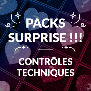 Pack surprise de 4 broches "Contrôle technique"