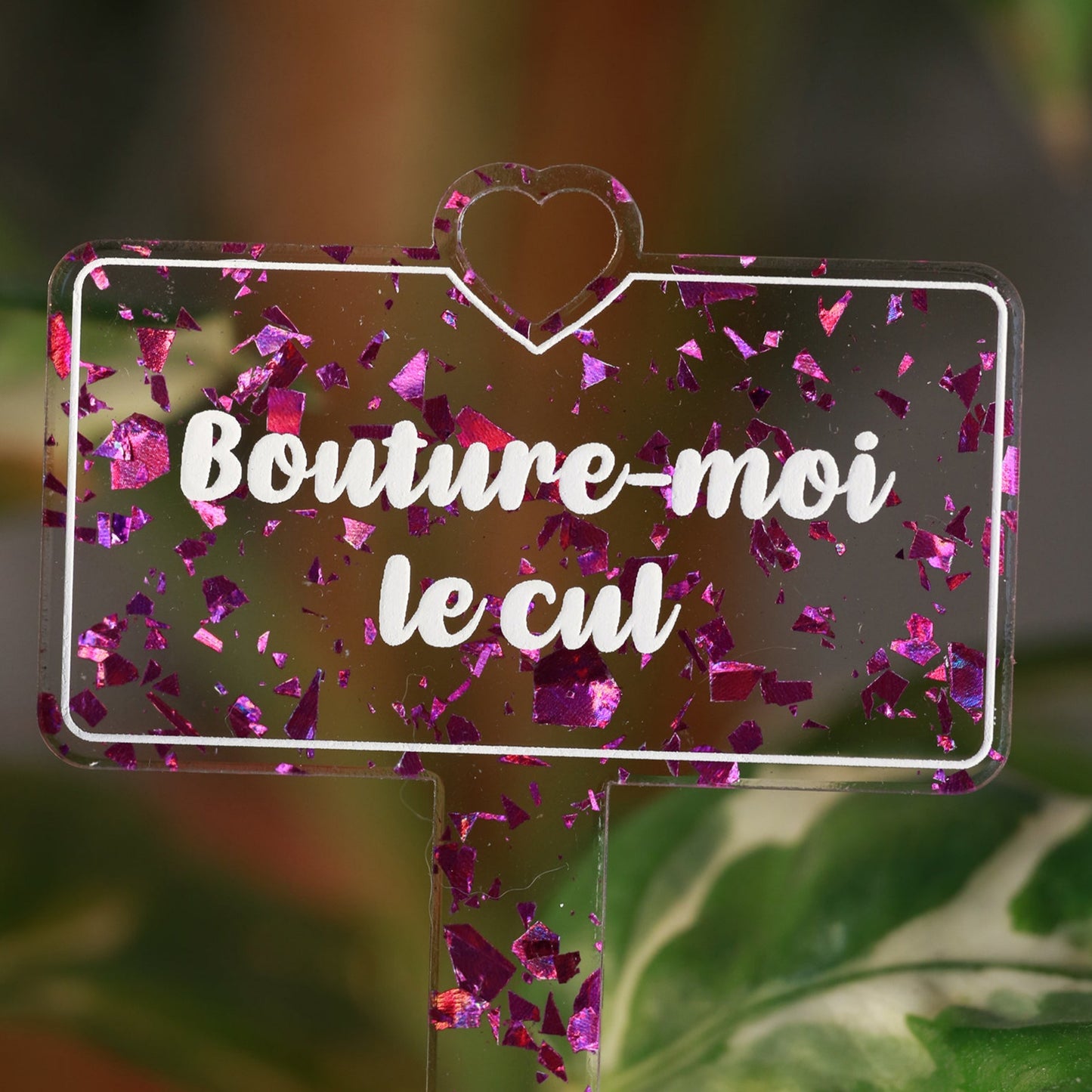 Pic à plante "Bouture-moi le cul" en acrylique transparente avec des éclats de confettis violets