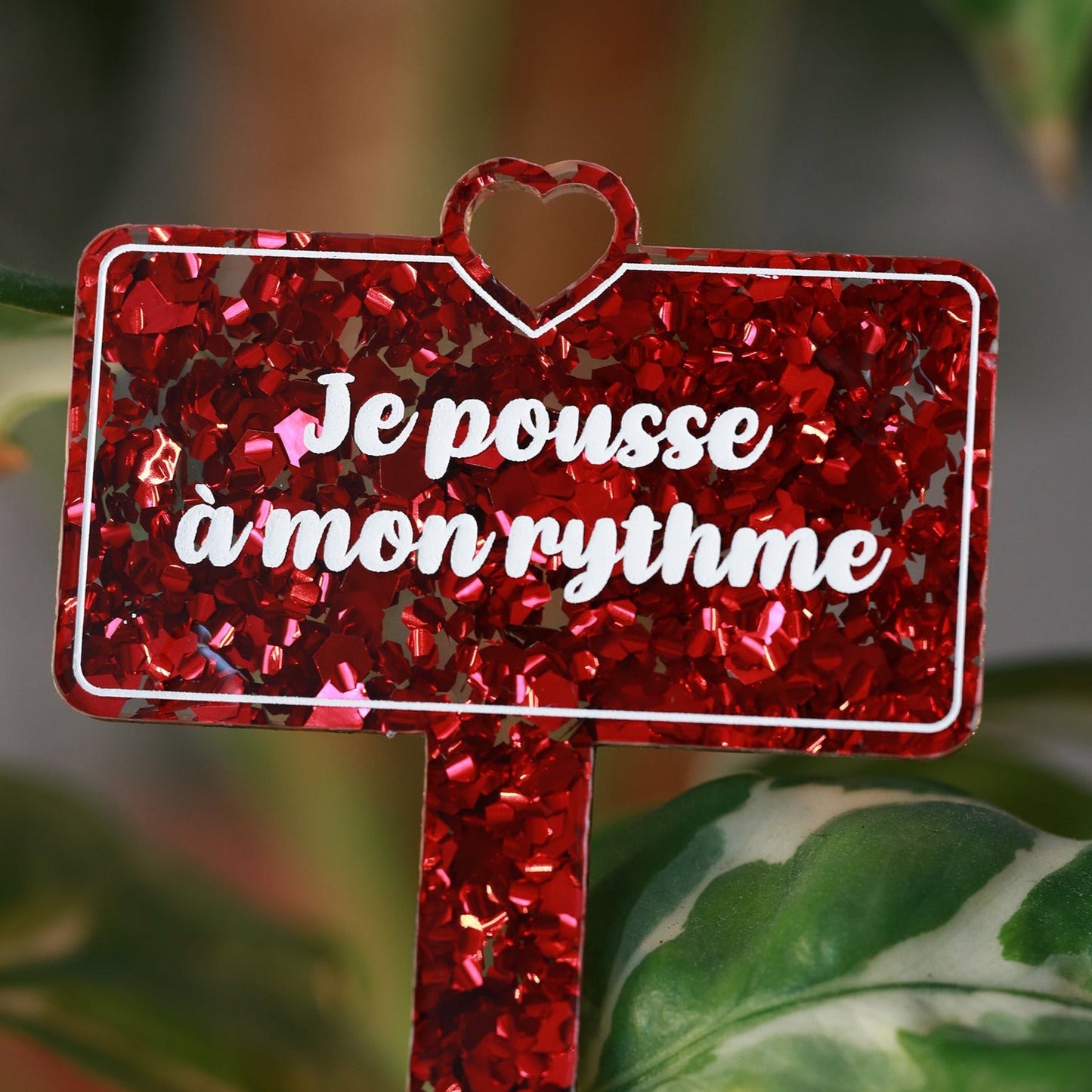[CONTRÔLE TECHNIQUE] Pic à plante "Je pousse à mon rythme" en acrylique à gros confettis rouges