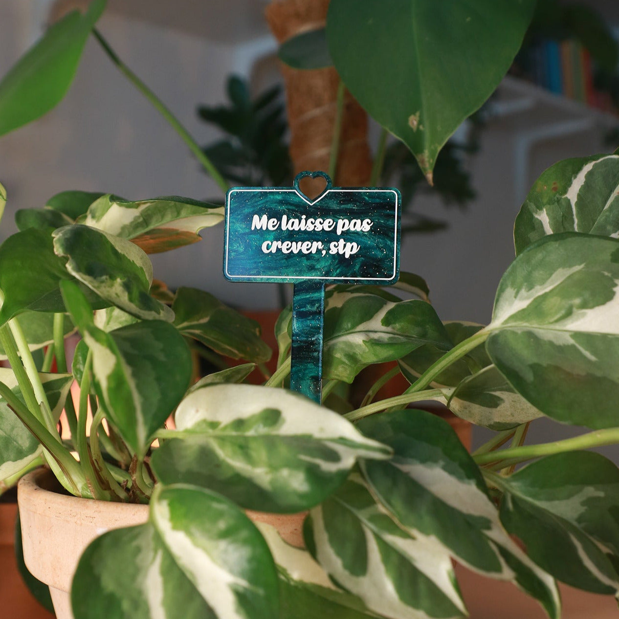 [CONTRÔLE TECHNIQUE] Pic à plante "Me laisse pas crever, stp" en acrylique marbrée verte et noire à paillettes