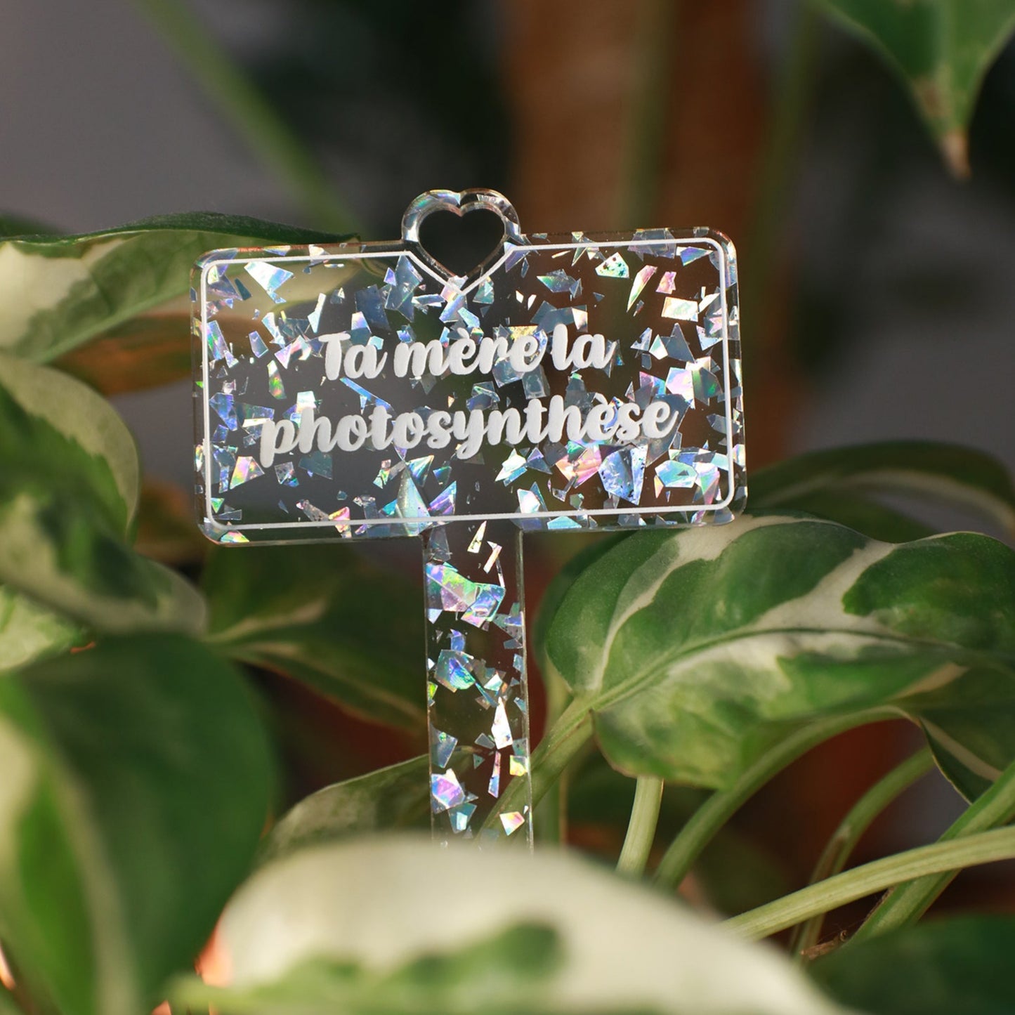 Pic à plante "Ta mère la photosynthèse" en acrylique transparente avec des éclays de confettis argentés