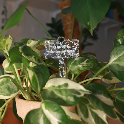 [CONTRÔLE TECHNIQUE] Pic à plante "Ta mère la photosynthèse" en acrylique transparente avec des éclats de confettis argentés