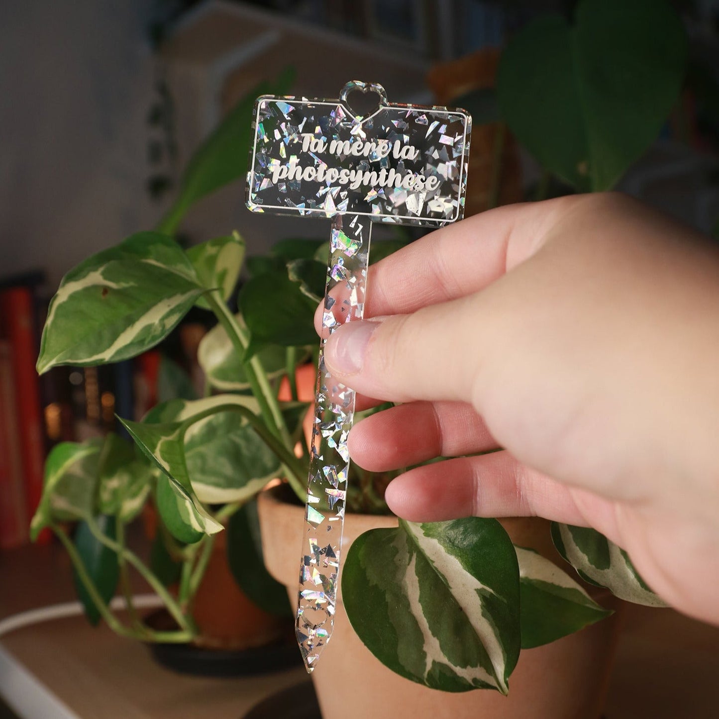 [CONTRÔLE TECHNIQUE] Pic à plante "Ta mère la photosynthèse" en acrylique transparente avec des éclats de confettis argentés