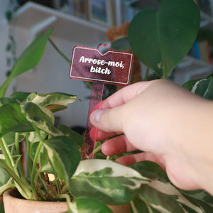 Pic à plante "Arrose-moi bitch" en acrylique rose transparente à paillettes