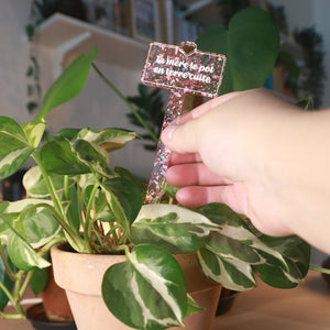 [CONTRÔLE TECHNIQUE] Pic à plante "Ta mère le pot en terre cuite" en acrylique transparente avec des éclays de confettis roses