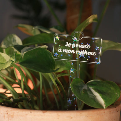 Pic à plante "Je pousse à mon rythme" en acrylique transparente avec des étoiles