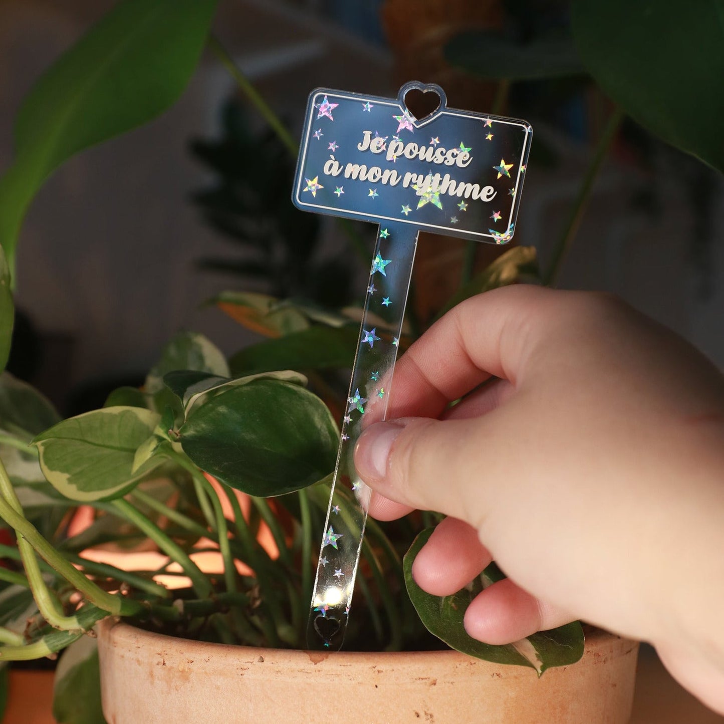 [CONTRÔLE TECHNIQUE] Pic à plante "Je pousse à mon rythme" en acrylique transparente avec des étoiles