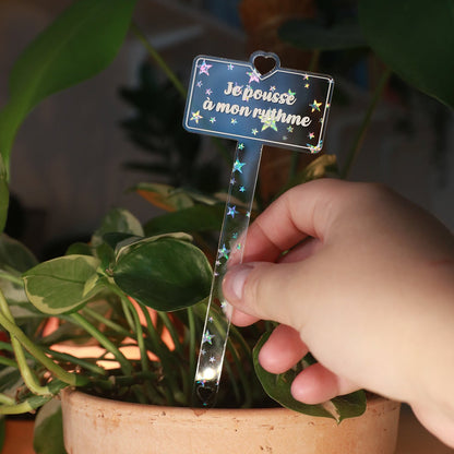 [CONTRÔLE TECHNIQUE] Pic à plante "Je pousse à mon rythme" en acrylique transparente avec des étoiles