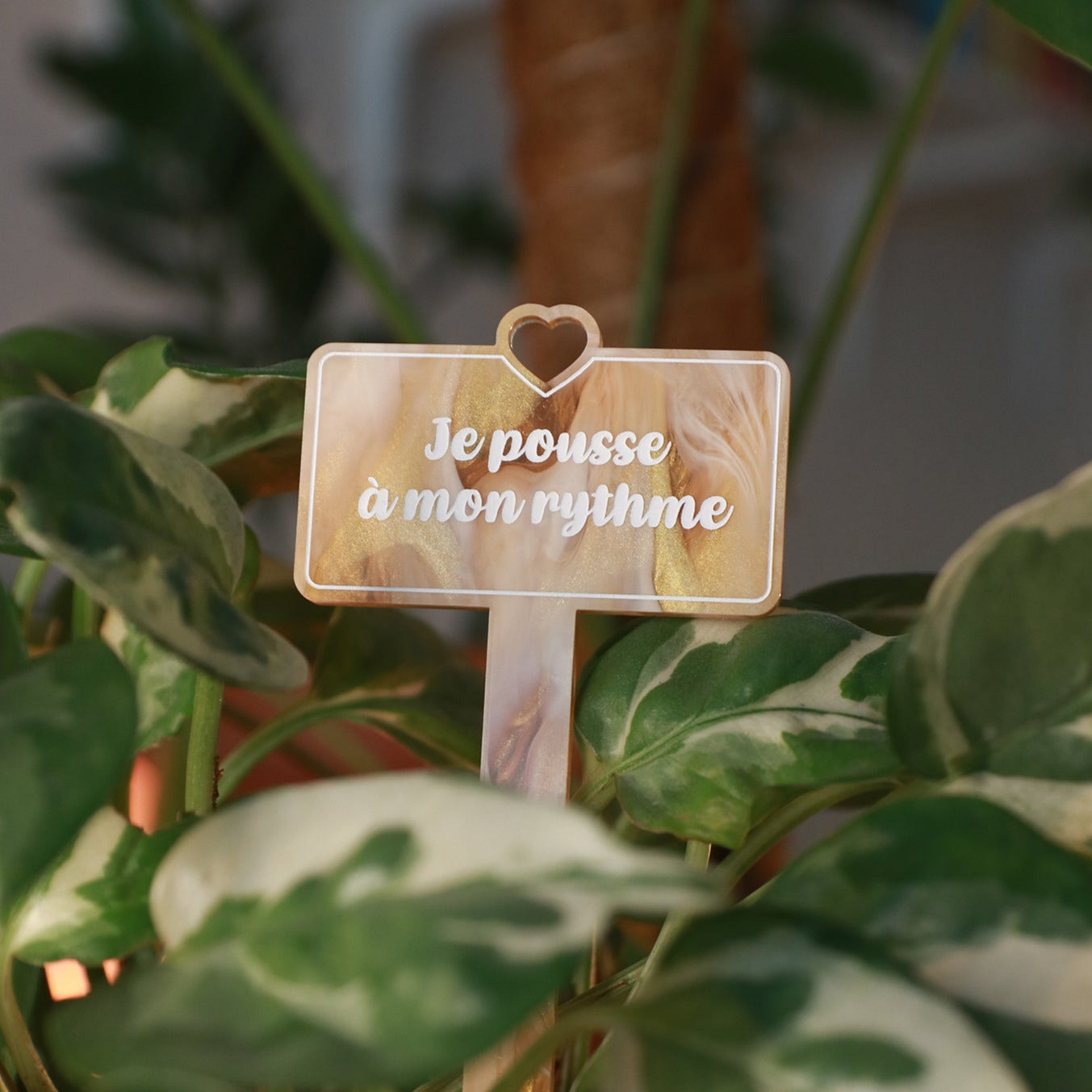 Pic à plante "Je pousse à mon rythme" en acrylique marbrée caramel, blanche et transparente