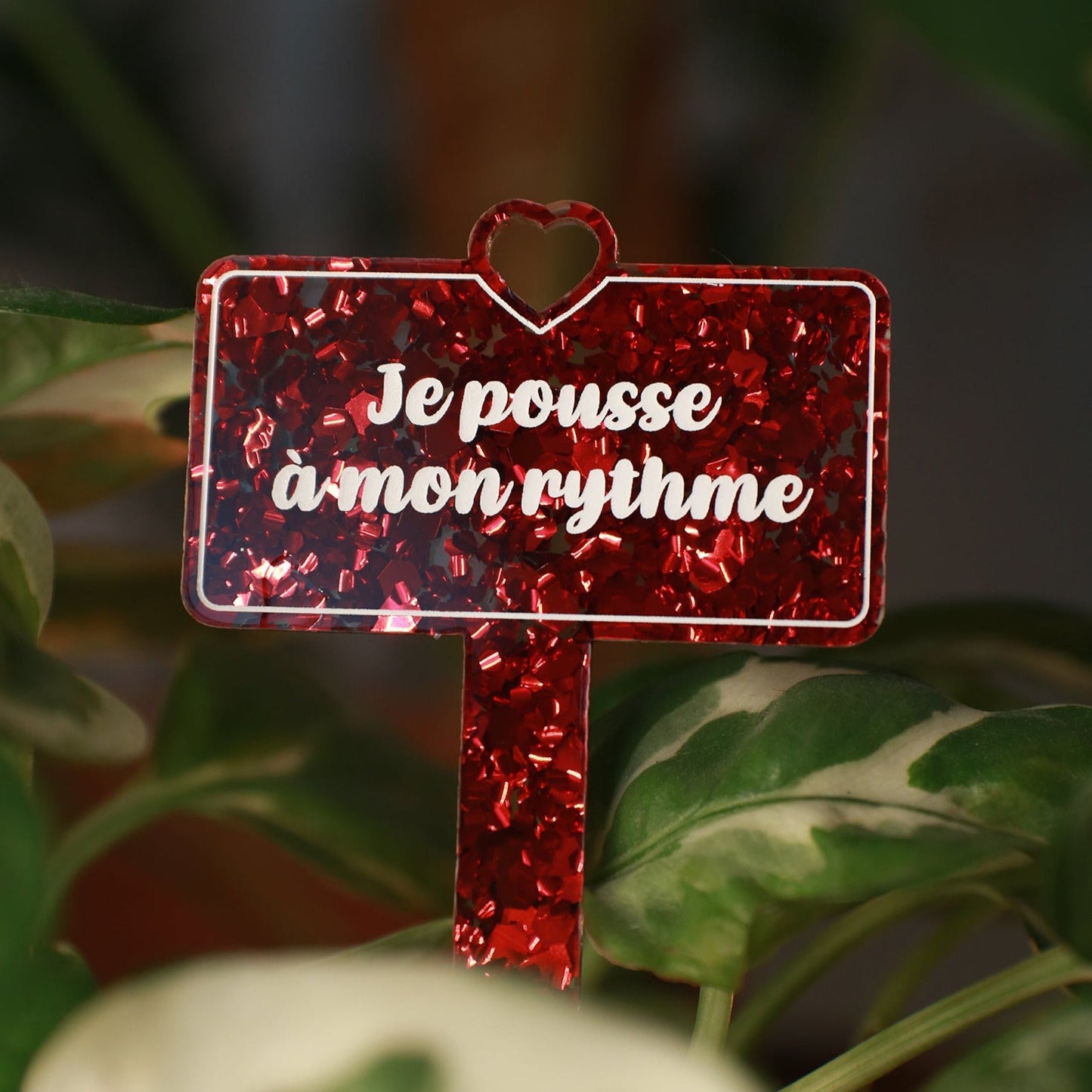 [CONTRÔLE TECHNIQUE] Pic à plante "Je pousse à mon rythme" en acrylique à gros confettis rouges