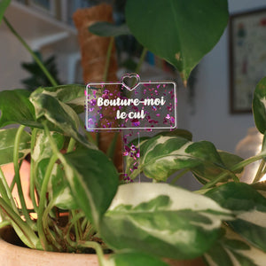 Pic à plante "Bouture-moi le cul" en acrylique transparente avec des éclats de confettis violets