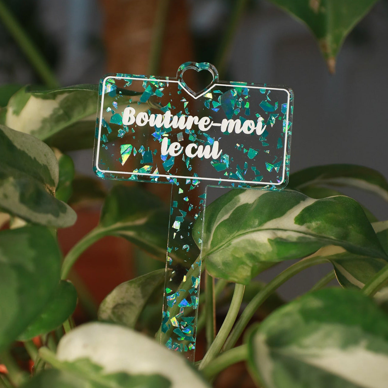 [CONTRÔLE TECHNIQUE] Pic à plante "Bouture-moi le cul" en acrylique transparente avec des éclats de confettis turquoise
