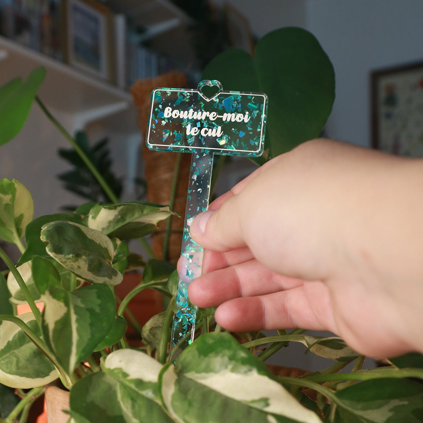 Pic à plante "Bouture-moi le cul" en acrylique transparente avec des éclats de confettis turquoise